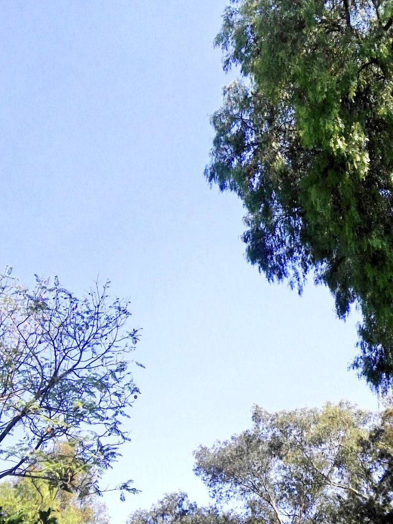 RodGuerreroMx's tweet photo. #OdioElCalor 
#OdioLaPrimavera 
#MeChocaElCalor 
#PincheCalor
#PutoSol
#MalditaPrimavera https://t.co/sX7AHkZPOk