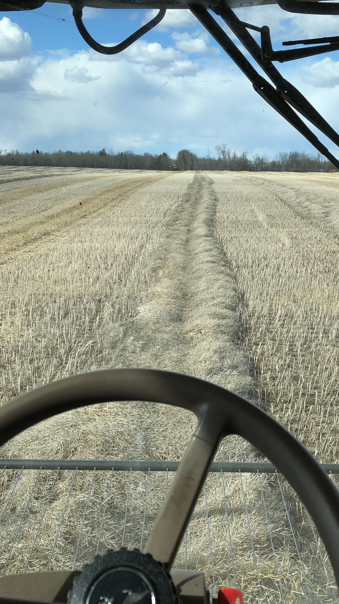 jonah_hicks11's tweet photo. I wished we had this nice weather last fall #harvest2018 https://t.co/z9u9Ipc9EF