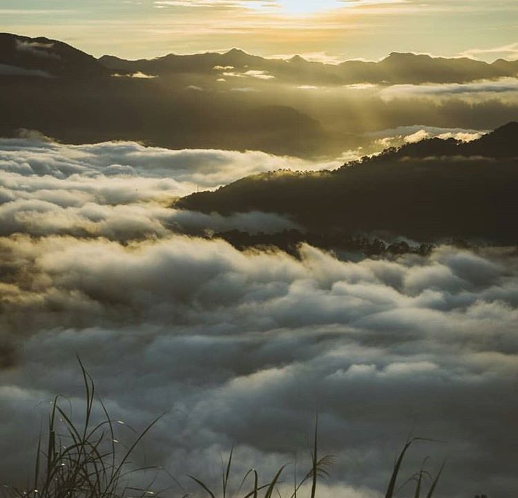 CoachPapaChen88's tweet photo. Breathtaking... sulit gumising ng maaga kahit groge pa sa LTE ... sea of clouds... #Happiness #WhereDoBrokenHeartsGo #HappyNaDiNaBrokenHearted #EasterSunday2019 #HolyWeek2019 #WhenInSagada
📍Sagada https://t.co/kfcLtKBA0g