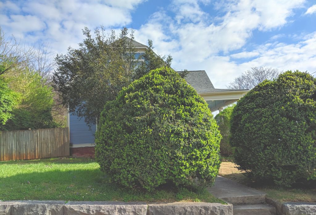 Callamitys's tweet image. Topiary inspiration from #Knoxville #plantproblems