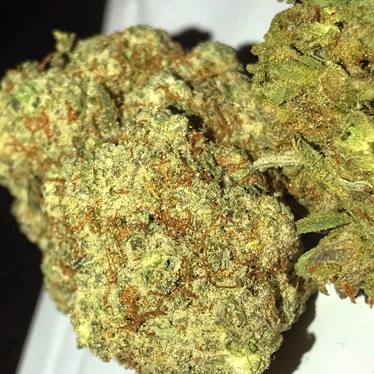 🔥💨 Up close &amp; personal. What’s  everybody smoking on?

#happy420 #Homegrown #weedofinstagram #cannabis #weed #dank #growing #hydroponics #organic #cbd #hemp #wax #weed #cannabis #marijuana #cannabiscommunity #thc #cbd #cannabisculture #kush #smoke #indica #sativa #life  #dabs