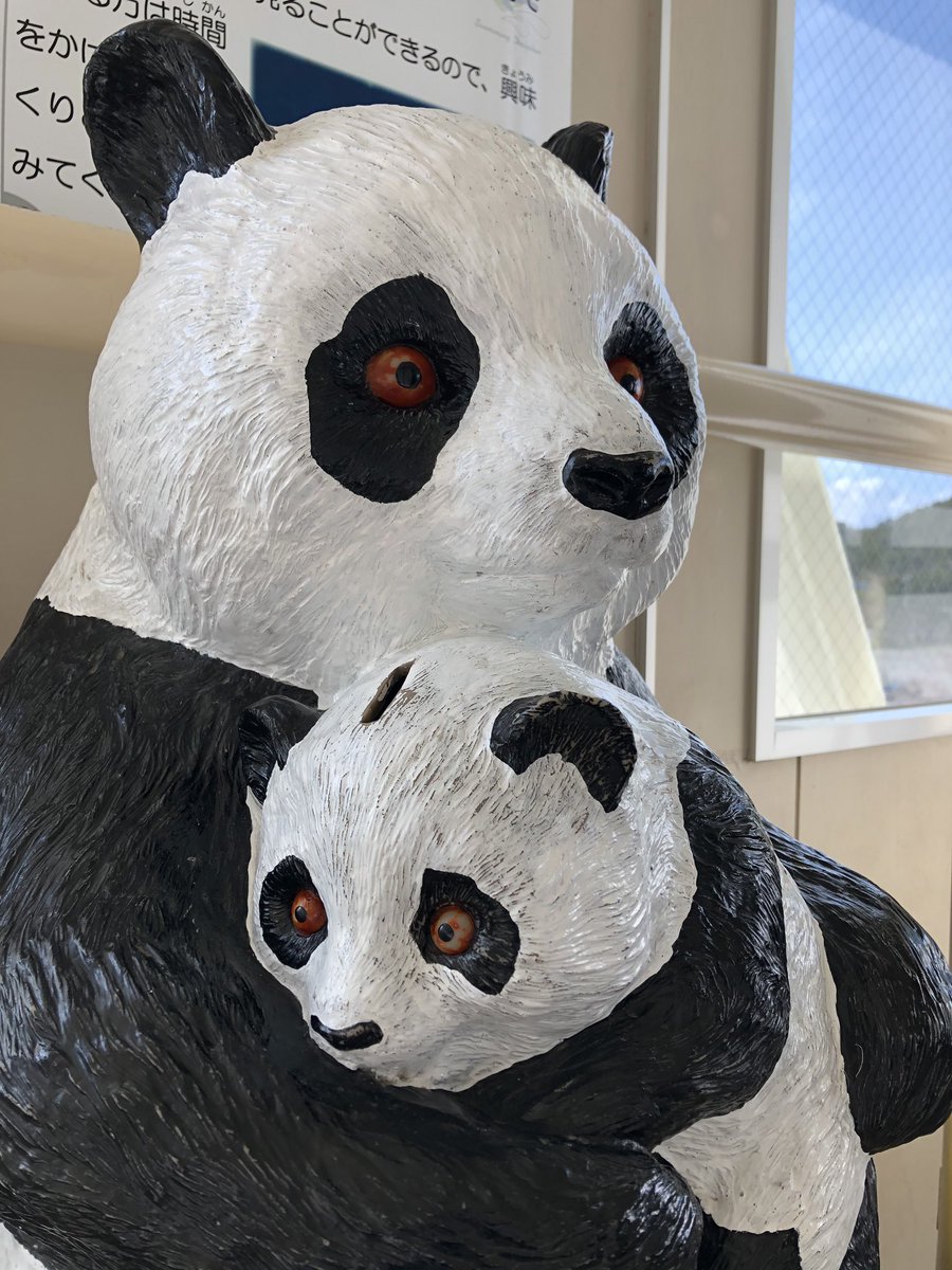 浅虫水族館のパンダ、絶対何かに感染してると思うの… 苦しそうだから
