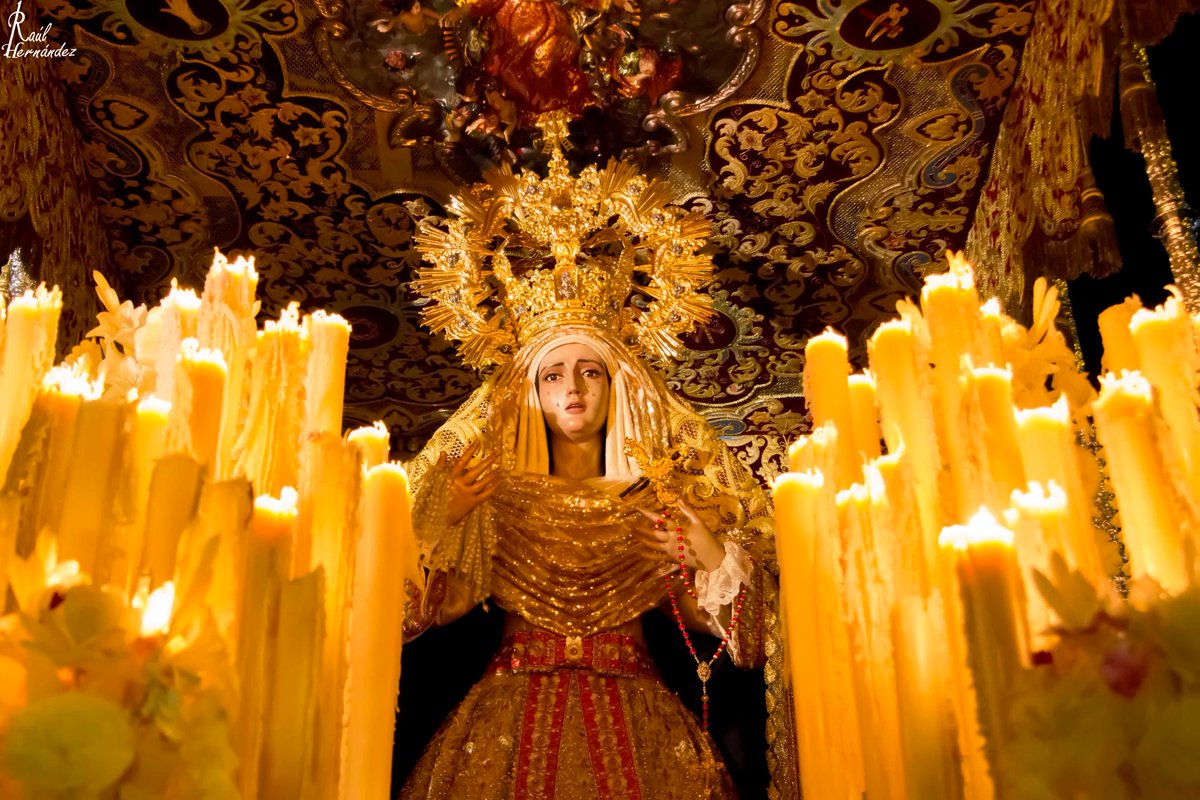 Gentedepaz's tweet photo. Córdoba | Así fue la hermosa petalada en Cardenal González para la Virgen del Buen Fin | #Tdscofrade #GentedePaz #Cofradias #SemanaSanta https://t.co/VERuKPN0kr @HdadDescenCord https://t.co/X8FpoKuTAQ