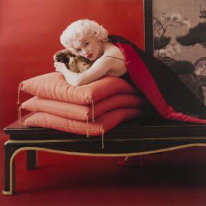IrishMMFanclub's tweet photo. Goodnight 😴

Marilyn was photographed with Sidney Guilaroff's three Pekingese dogs by Milton Greene on 28 March 1955. Guilaroff was a British stylist who styled Marilyn's hair on numerous occasions. 

#marilynmonroe #miltongreene #irishmmfanclub https://t.co/1MzJgsCvb3