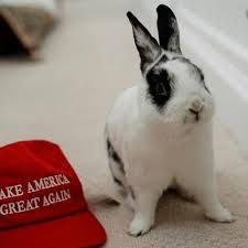 magamarch2019's tweet photo. HAPPY EASTER!
It's a great day to MAGA! https://t.co/hfHeUXOcPq