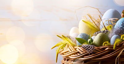 SeniorCareTalk's tweet photo. We would like to wish all of our readers a very happy Easter holiday! https://t.co/LZDx1FkYck