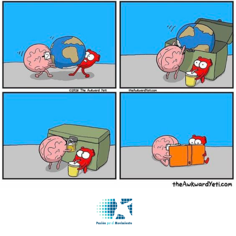 FizioRD's tweet photo. ¡Justo así hoy!😉 https://t.co/abjBDvTqLb