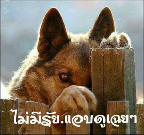 NNaphuthon's tweet photo. @ruttanangkur คริๆๆๆ https://t.co/uc2T80ScDo