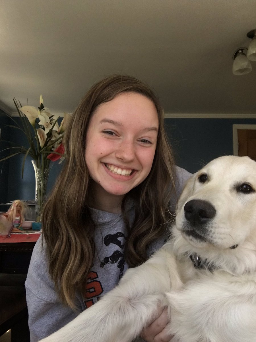 packt04's tweet image. my dog hates me