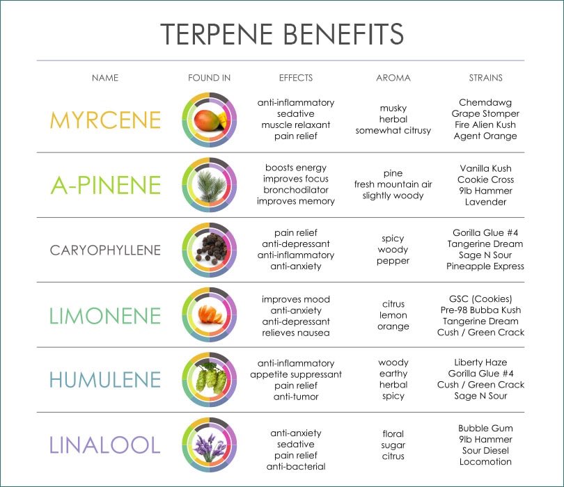 Cbd Benefits Chart