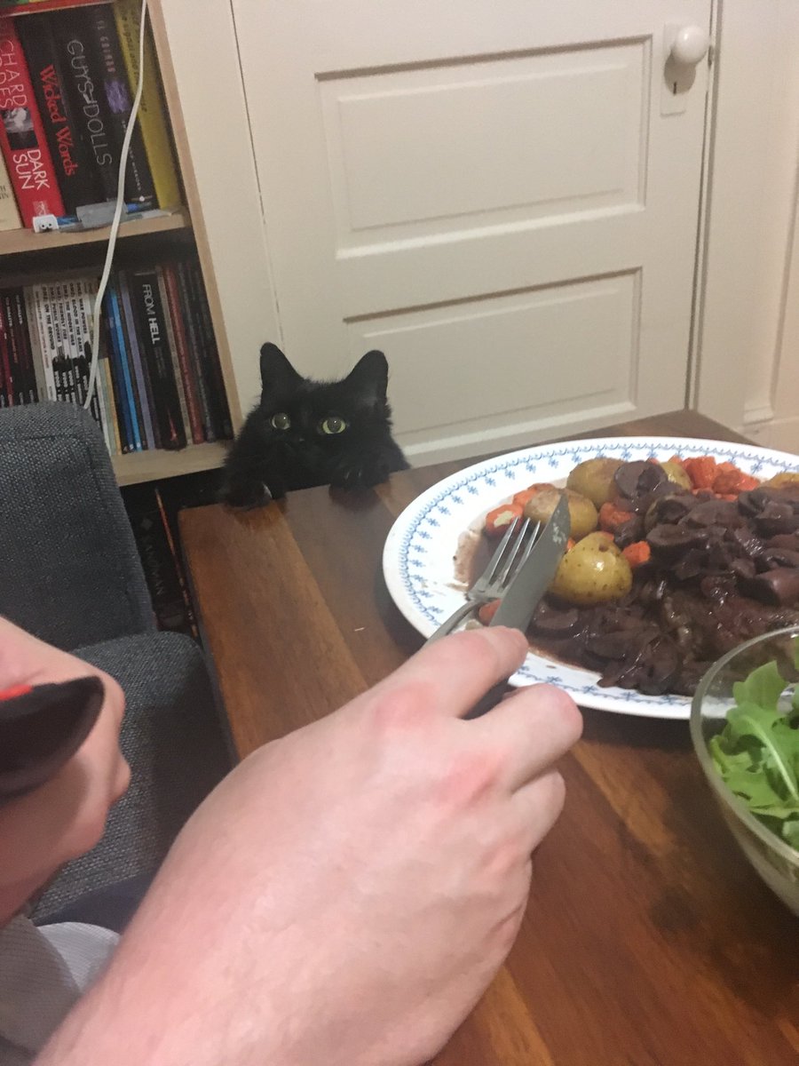 tildycat tweet media