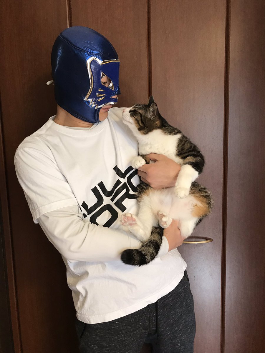 blue_cat_san's tweet photo. 本日エントリー最終日ですよーの #フルフォースTシャツ #ササキモデルコーデ 選手権！
ごくごく一部の人にしか届かない #BLUECAT が #cat と共に #withfullforce ！ https://t.co/cqkSMjISUm