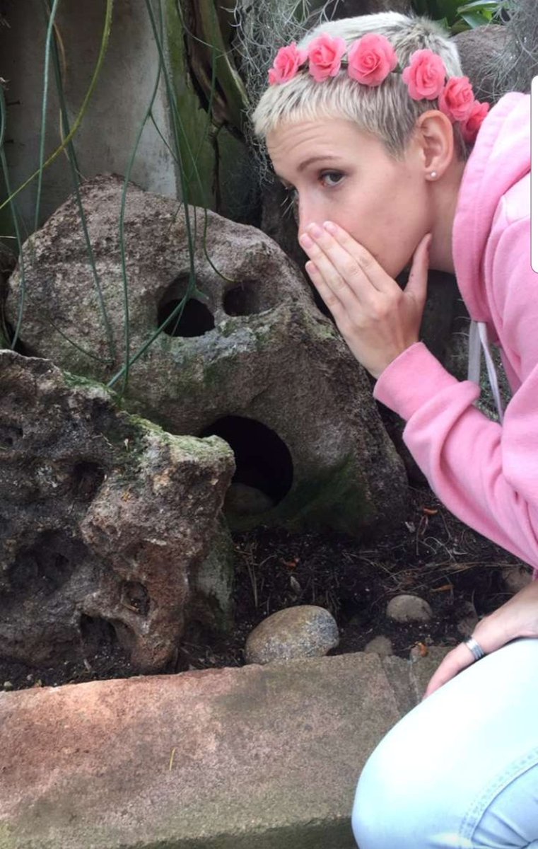 CiarraGames's tweet image. Me: I&apos;m going live on #twitch at 6:15 PM PST and playing some more #sigmatheory. 

Everyone: :0