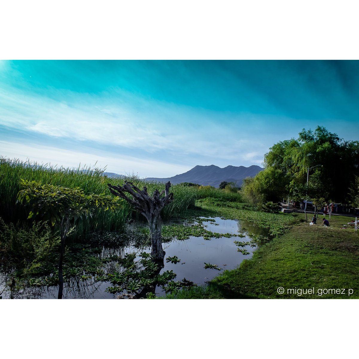 redefinepop's tweet photo. #photography https://t.co/UCrDAYVWo2