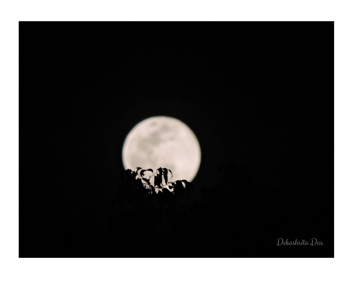 DasDebashrita's tweet photo. চাঁদের আলোয় এ শহর ধুয়ে যায়....

#Moonlightmoments #PinkMoon #Moonlight #photography #photographer #photo https://t.co/jlz4xgfJ5I