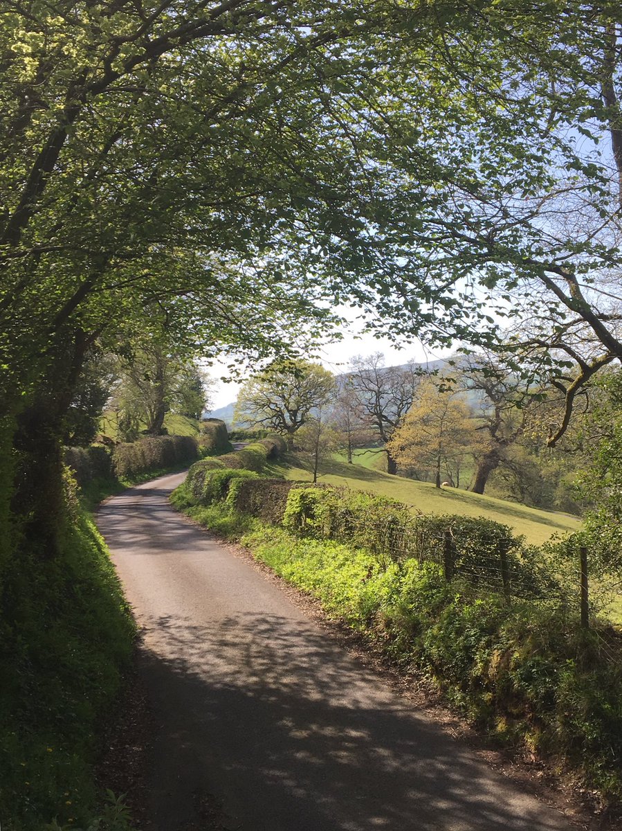finstumpf's tweet photo. It’s just rush, rush, rush. Quiet lane #ThreeCastlesWalk #LoveMonmouthshire @visit_mon @MonmouthshireCC https://t.co/sTyxyA36SU