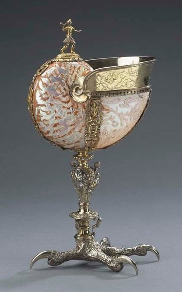 CGdrawing's tweet photo. Nautilus wine glass design https://t.co/ASYohmEoBg