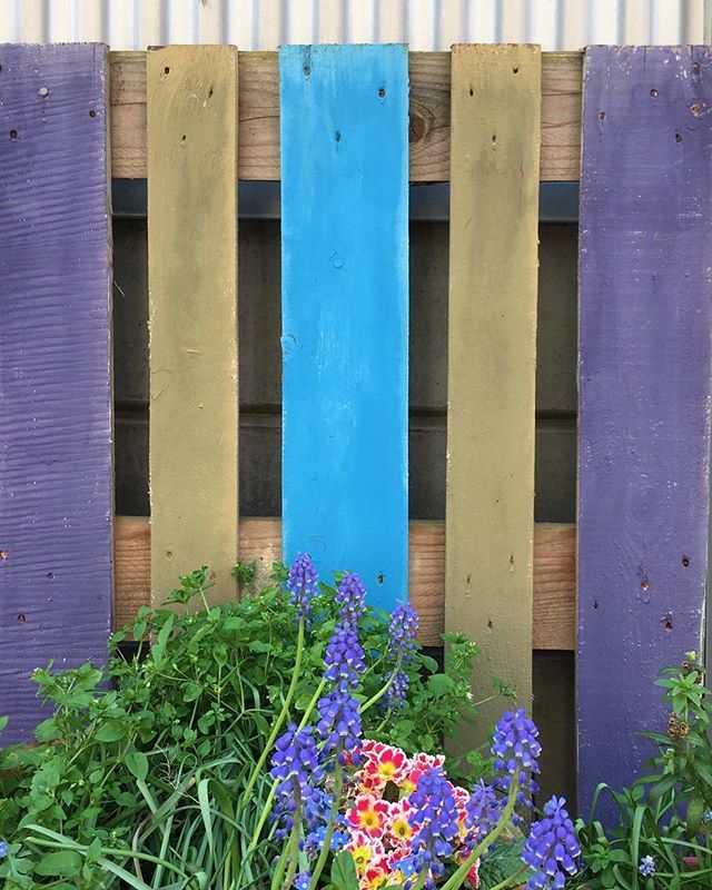 Sibilcita's tweet photo. Little fence in #hamburgbahrenfeld.
-
#woodmoodhub #wooden_hue #alluring_details #tv_hiddenbeauty #unsung_tiny_heroes #thehub_colors #colorstory #tv_colors #popyacolor #popyacolour #raw_colors_  #color_captures #coloritup #addicted_to_colors #jj_colorlov… https://t.co/jfvpQQDjY5 https://t.co/81hzk4y2jM