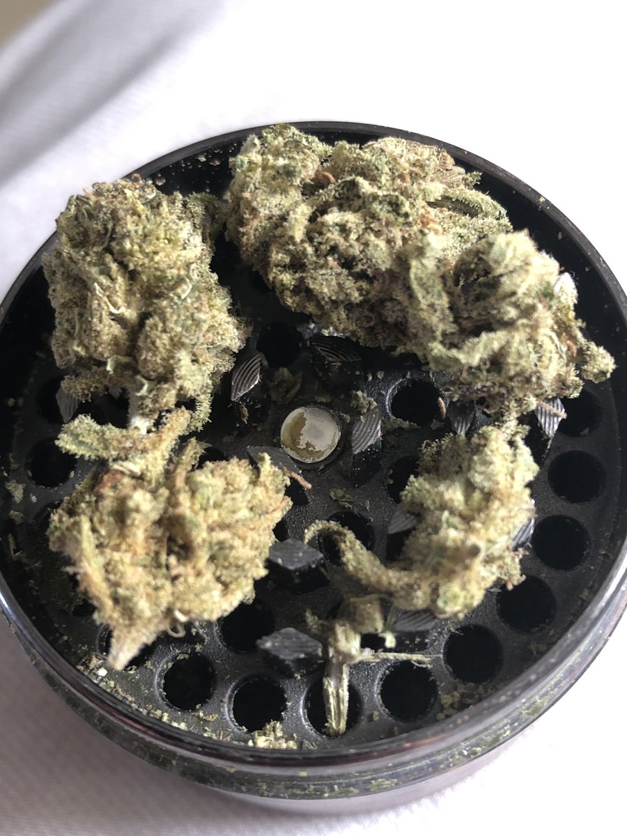 Stoneybowski's tweet photo. One last session before headed back into work ๐ #420day #goodvibes #goodvibesonly #medicalmarijuana #medicine #maryjane #beautifulbuds #weshouldsmoke #liftd #treescure https://t.co/xVedB7m2Vz