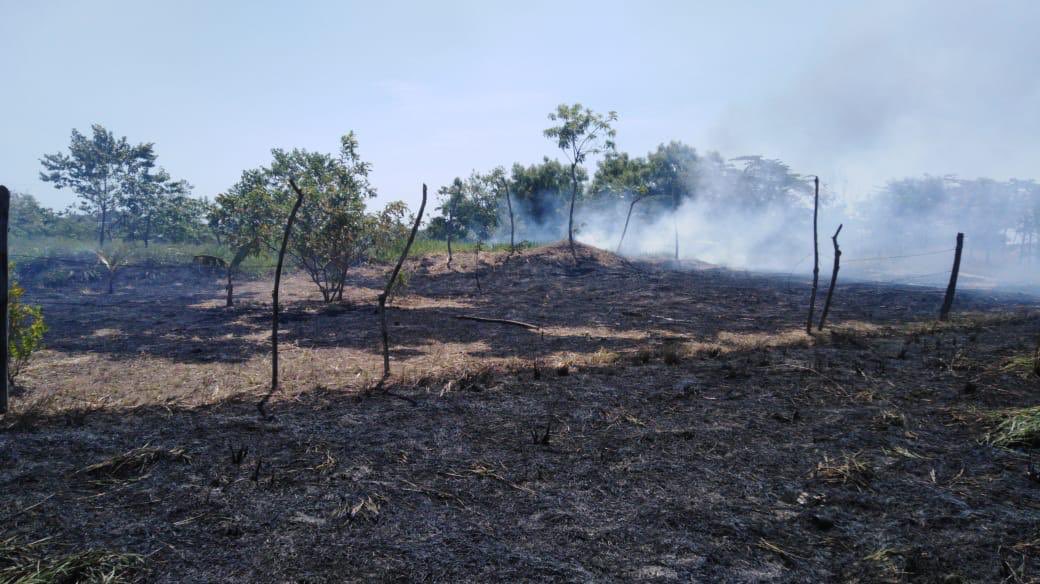 Secretaría de Protección Civil de Chiapas tweet media