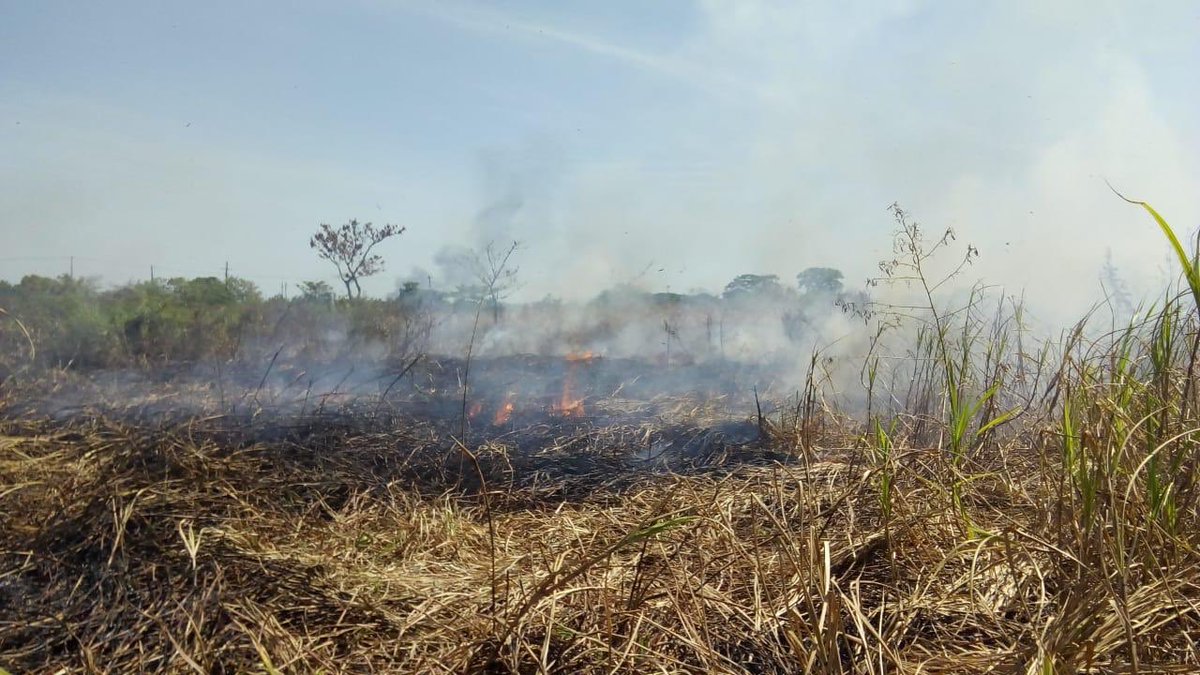 Secretaría de Protección Civil de Chiapas tweet media