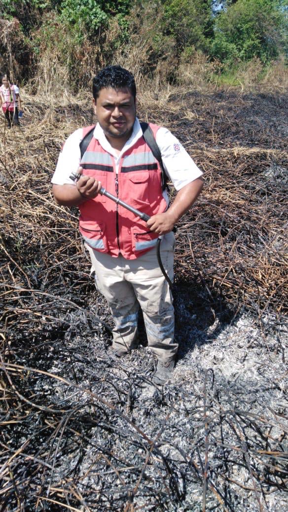 Secretaría de Protección Civil de Chiapas tweet media