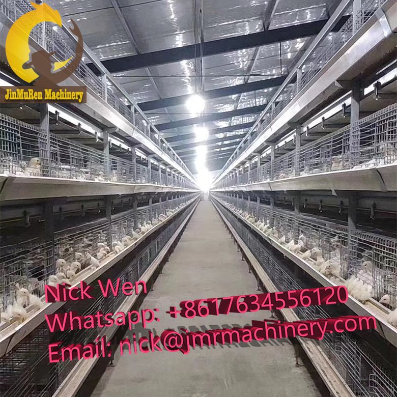 Henan Jinmuren Machinery Equipment Co., Ltd

#jinmuren #poultryequipment #chickencage #Chinesemanufacturer