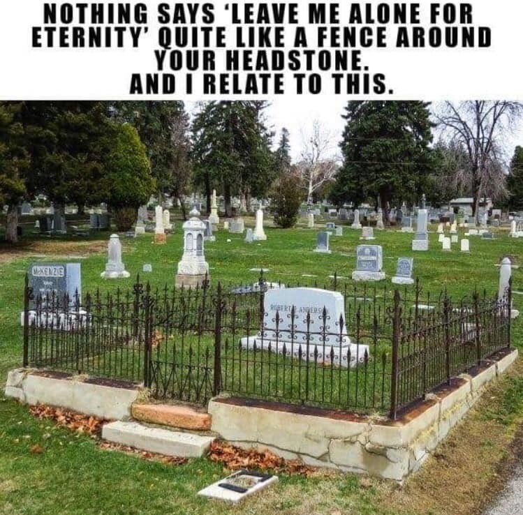 Caleb Wilde tweet media