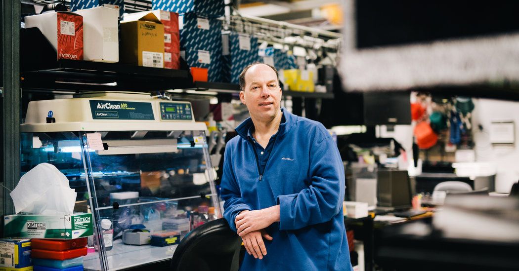 TheDSOS's tweet image. Stanford Clears Professor of Helping With Gene-Edited Babies Experiment buff.ly/2GtfGrS