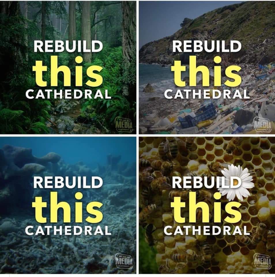 earthstrike_nyc's tweet photo. If only the celebrities and billionaires donated their money to the environment to keep it alive and clean, #Flint , and starving peoples. Where is their justice? #RebuildThisCathedral #ClimateJustice #FlintWaterCrisis https://t.co/YmtEulG8Iq