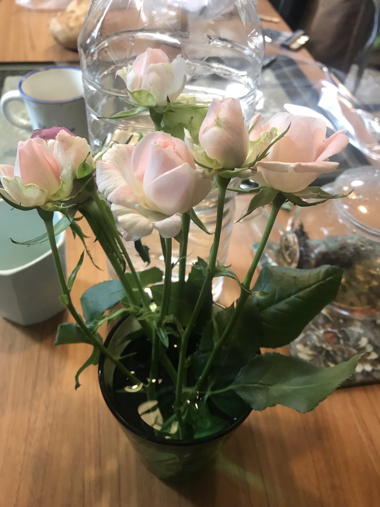 もっこす 父がじゃがいもに薔薇を刺して前衛的な生け花作ってんな と思ったら じゃがいもを苗床にして刺した薔薇が根を張り育つんだって マジかよ T Co Nozajxypx9 Twitter