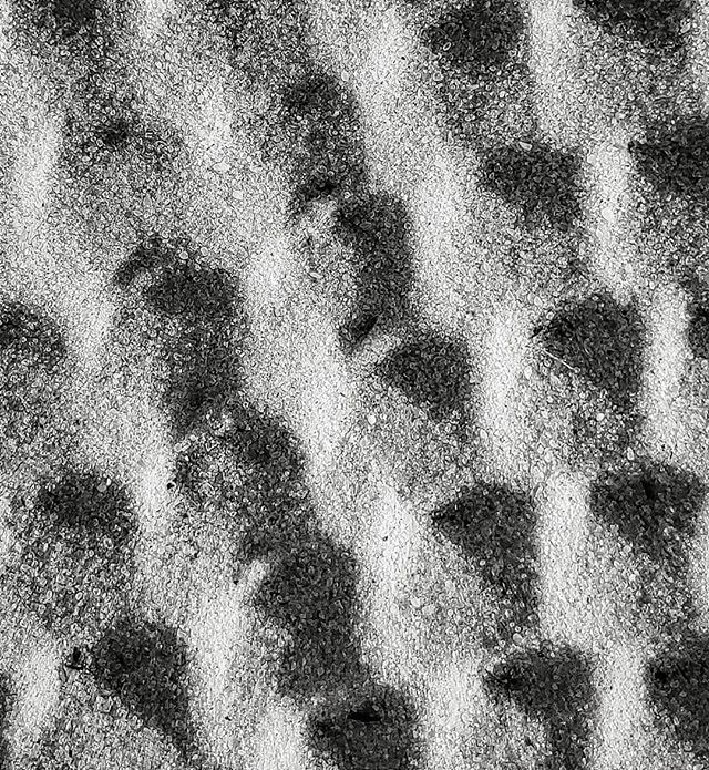gosmallbizkel's tweet photo. Tired Look.
Black and White Challenge. Day 5 of 7. °
°
°
°
°
#blackandwhite #blackandwhitechallenge #blackandwhitephotography #quailvalleygolfcourse
#verobeach
#florida #pattern #sand #patterninthesand
#lgg5 #lgg5photography #monochrome #monochromephoto… https://t.co/PLHZinCtCU https://t.co/7gbhPAAvBO