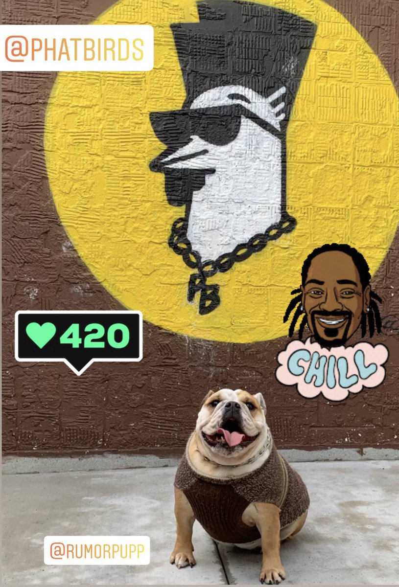 Rumorpupp's tweet photo. Happy #420 🔥 #itslegalnow https://t.co/pWDjgY6JGj