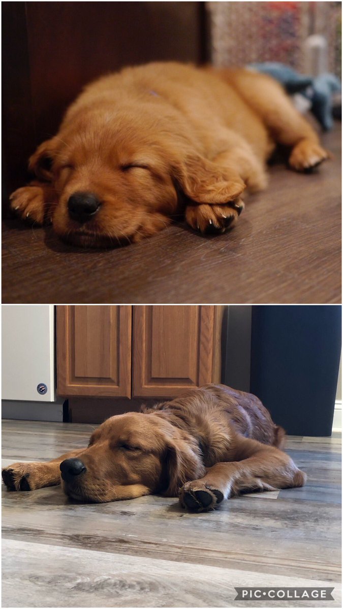 23Ackerman's tweet photo. Not much has changed in 5 months 😍 https://t.co/LVEjqYl2Mc