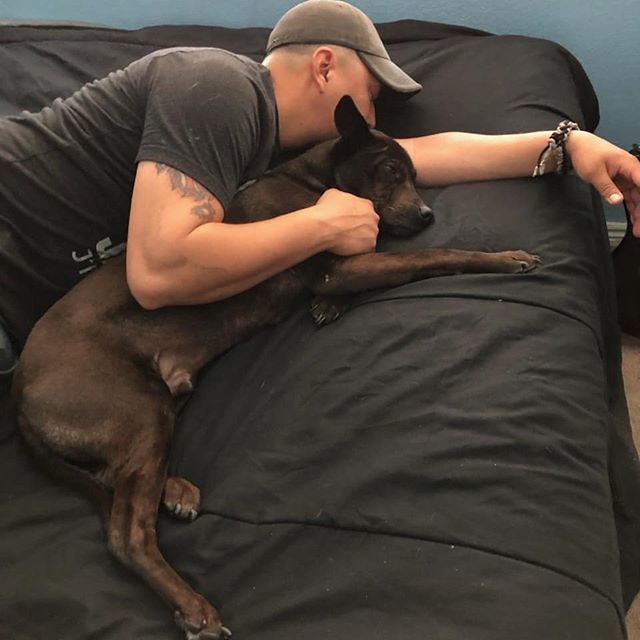 Barraza_TempeAZ's tweet photo. Daytime nap w/ my favorite nap partner Mader (Son sent me this pic cause it looks like I'm going to punch his dog lol). https://t.co/RfiD7XD9Qe https://t.co/jynt6axdvh