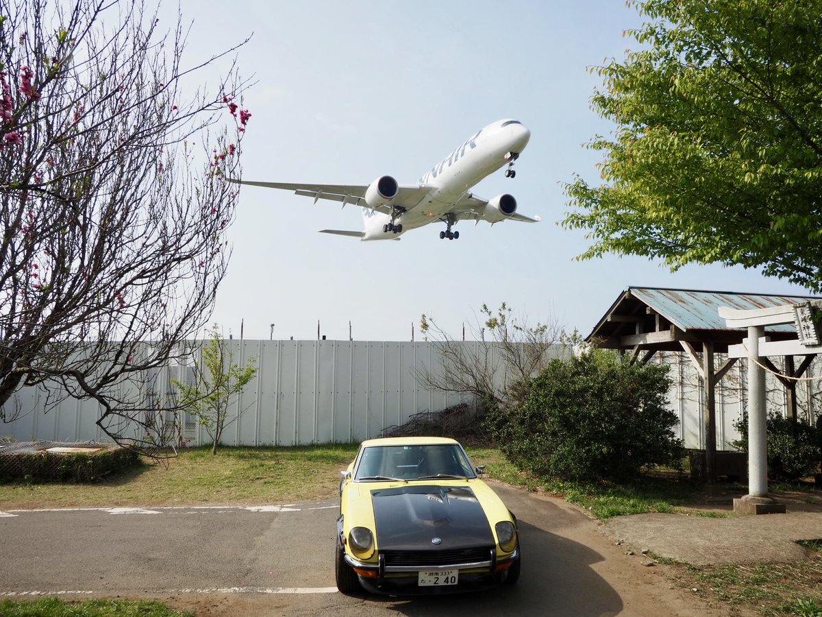 定番化しつつある✈️成田東峰神社。😊 色々な機種の飛行機が頭上を