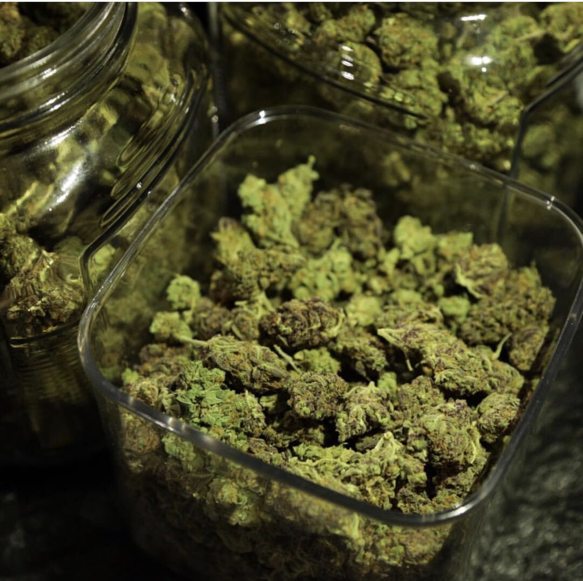 SeshJoe's tweet image. Happy 420 💚 The stoners national holiday! Still plenty of time to get lifted....let us know what are you smoking right now in the comements!!!                                                #weed #marijuana #high #hightimes #stoner #legalweed #kush #HighLife