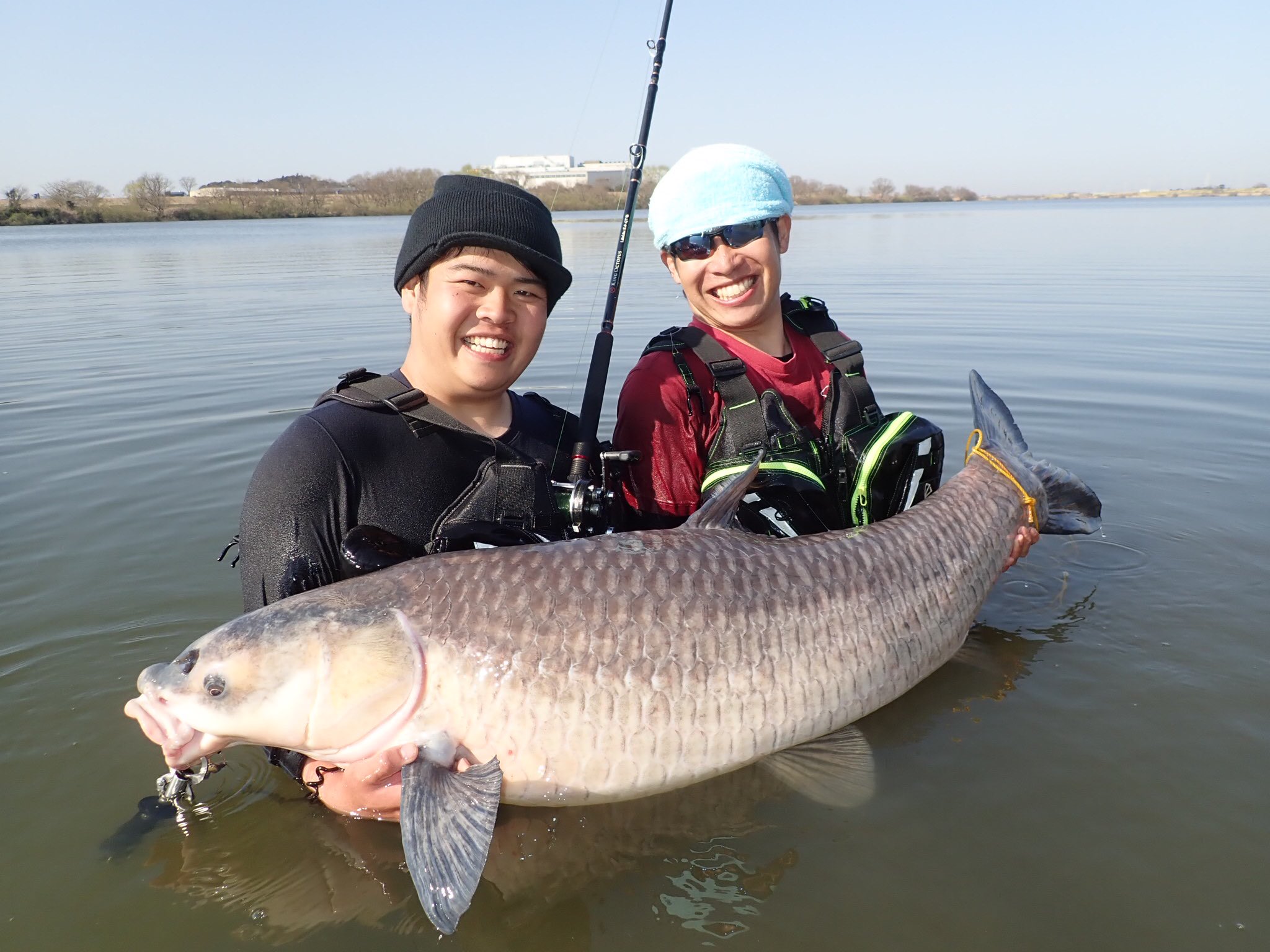怪魚ハンター山根兄弟 兄 Kimi マサと挑んだアオウオ釣りが今晩放送されます 地形を読みポイントを選定し大規模な草刈りから始まり アオが好む場所を選んだが故の根掛かりの嵐 鋭利な地形故のラインブレイク だからこそ この魚がブレイクオフした瞬間