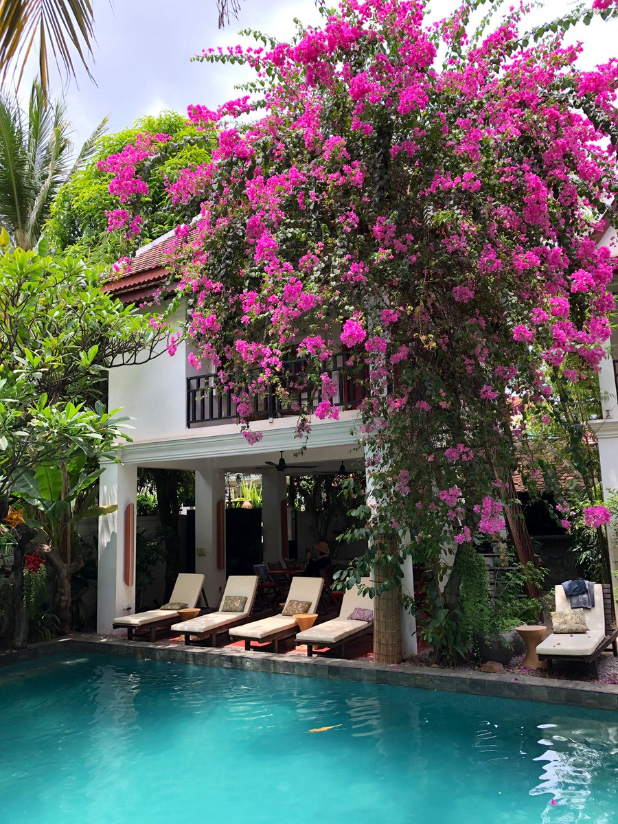 thesnappedfork's tweet photo. Lovely food and ambience while wedding-it-up at the Rambutan Boutique Hotel in Siem Reap, Cambodia. #siemreap #rambutanhotel #boutiquehotel #cambodia https://t.co/9QkxzJDQvd