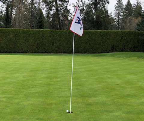 santaclarawgolf's tweet photo. Missed it by that much...Sarah Busey was a ball rotation from an eagle on the 15th hole during final-round action in the @WCCsports Championships at Manito Golf &amp; Country Club in Spokane. She finished 4th overall. #StampedeTogether #WCCChamps https://t.co/6PFxwVzTT4