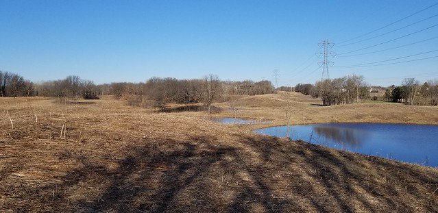 Eagan parkrun tweet media