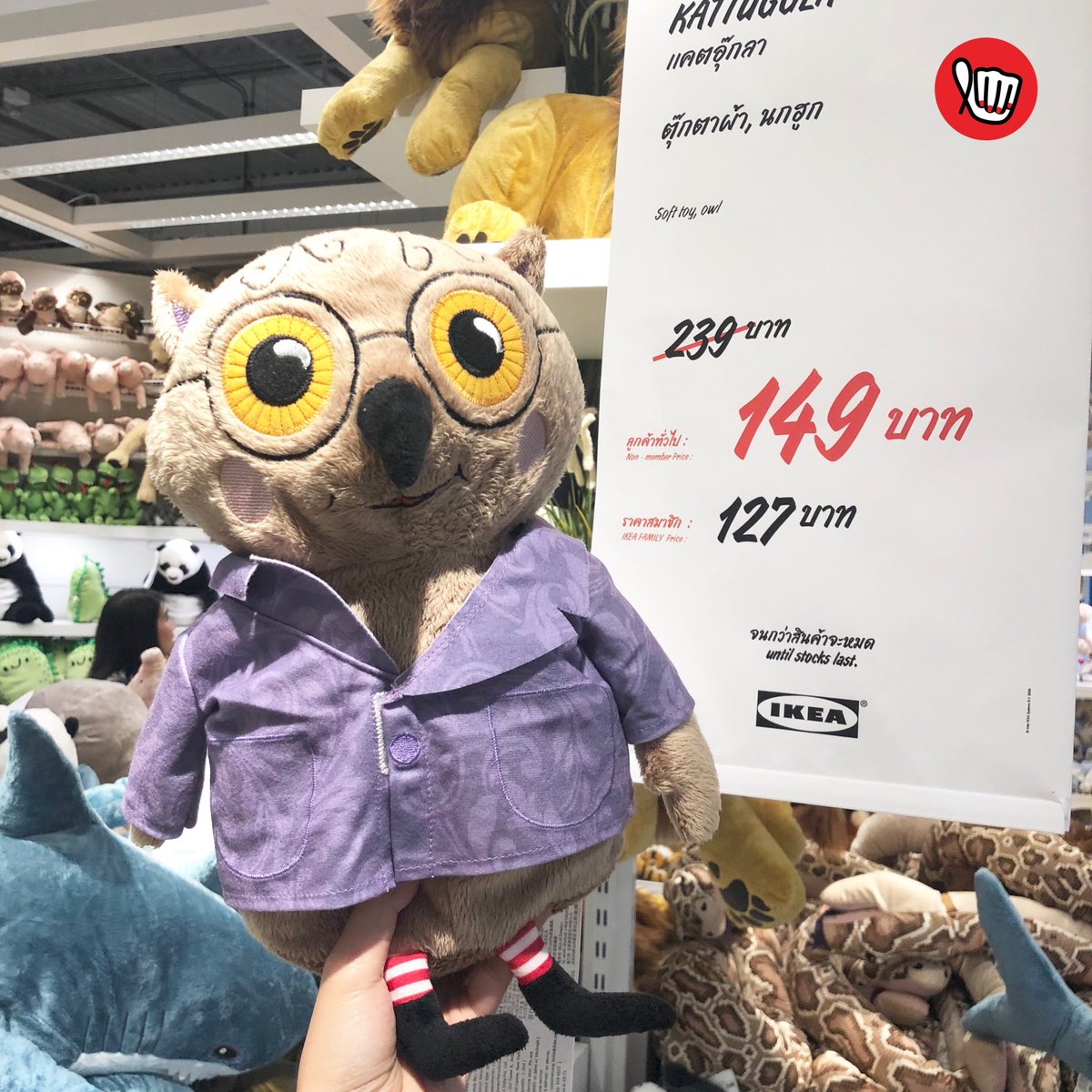 punpromotion's tweet photo. 🦄 #อัปเดตตุ๊กตาIKEA #เริ่มต้น59.- มีน้องๆ แอบลดราคาอยู่ด้วยนะเออ หรือจะคอลใหม่ก็มี คือทุกตัวน่ารักมาก เริ่มต้น 59.- เท่านั้น ตัวเล็กตัวใหญ่มีหมดด 

📍IKEA ทุกสาขา (แอดเจอที่สาขาบางใหญ่นะ)

#ปันโปร 
#อีเกีย #ตุ๊กตา https://t.co/g8AIZeLBeR