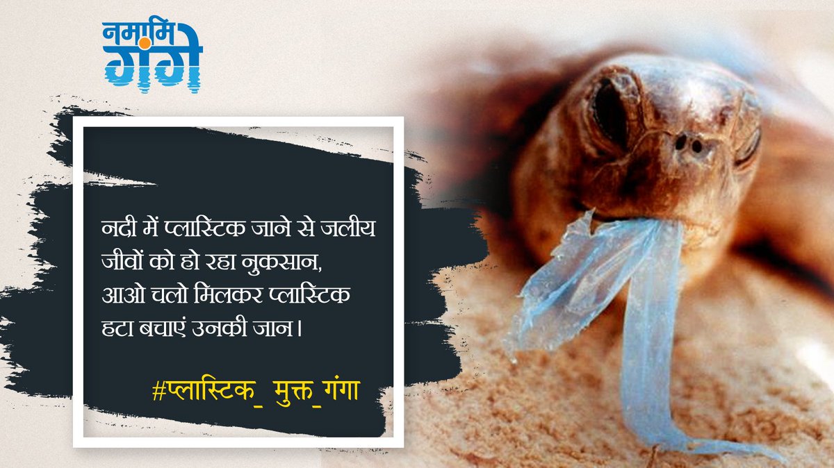 #BeatPlasticPollution #FreeGangaFromPlastics
कुछ छोटी-छोटी बातों का ध्यान रखकर हम गंगा को स्वच्छ रखने में अपना योगदान दे सकते हैं। नदी किनारे प्लास्टिक से बने चीजों को प्रयोग न करें।
आइये मिलकर संकल्प लें
"नहीं रुकेंगे, स्वच्छ करेंगे" #NamamiGange