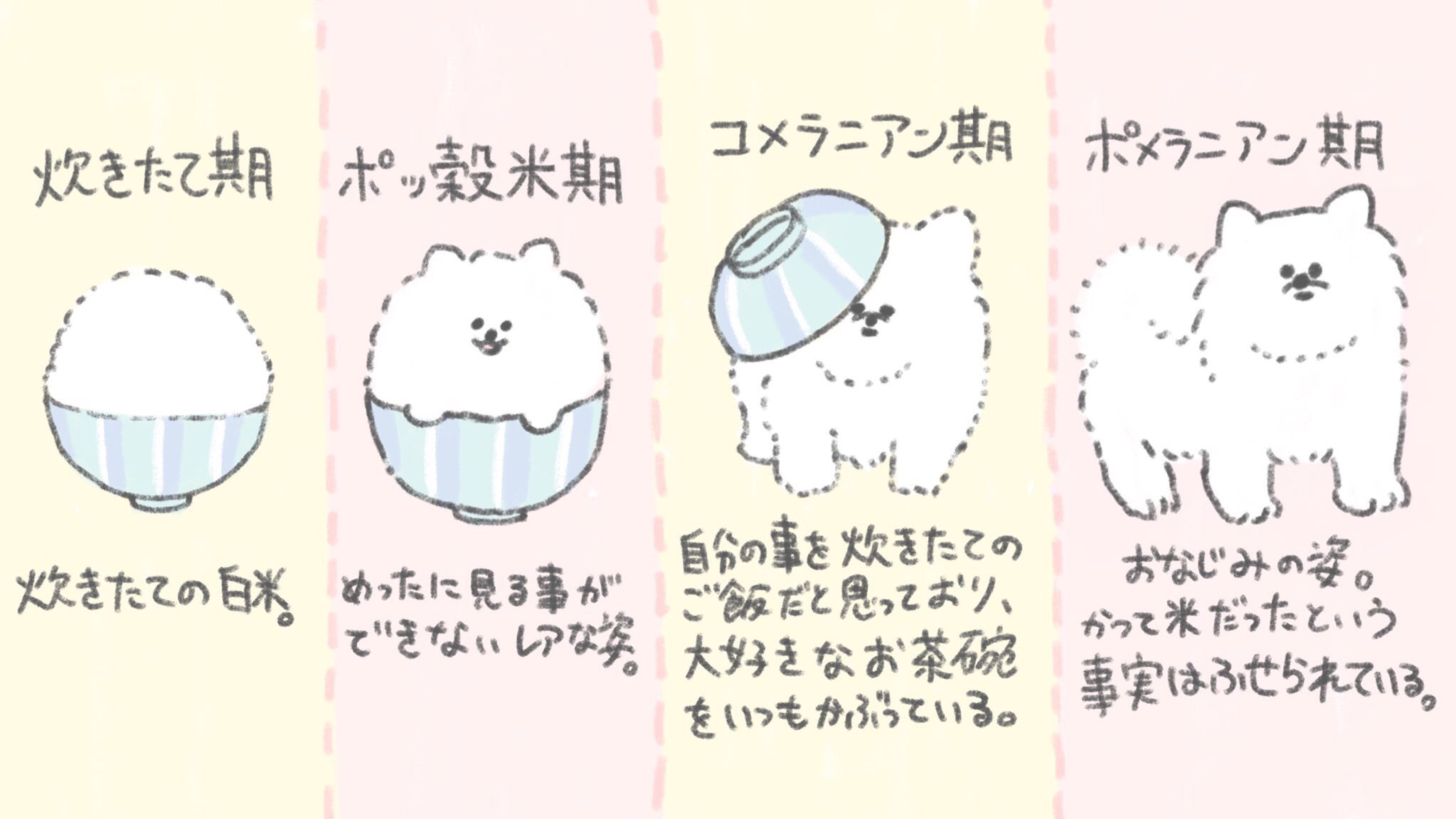 たべものに育てられた犬 公式 ご飯に育てられたポメ 炊きたてのお米 に育てられたのが このポメラニアン イラストによると彼はポッ穀米という種類らしくレアな姿なのだ T Co Hp105oo4h8 Twitter
