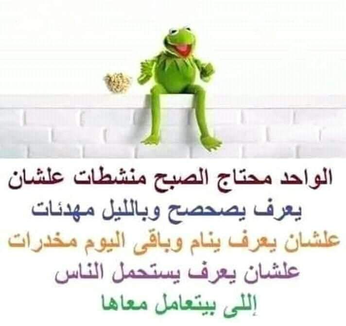 y5tMQeY4E9ekdQf's tweet image. 