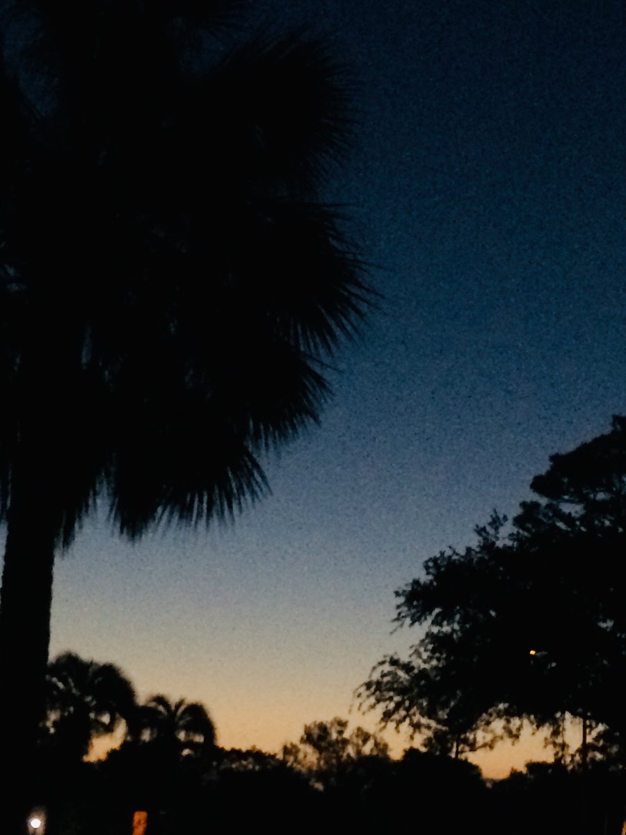 lynpend's tweet image. The Lord has RISEN !!!
Praise God