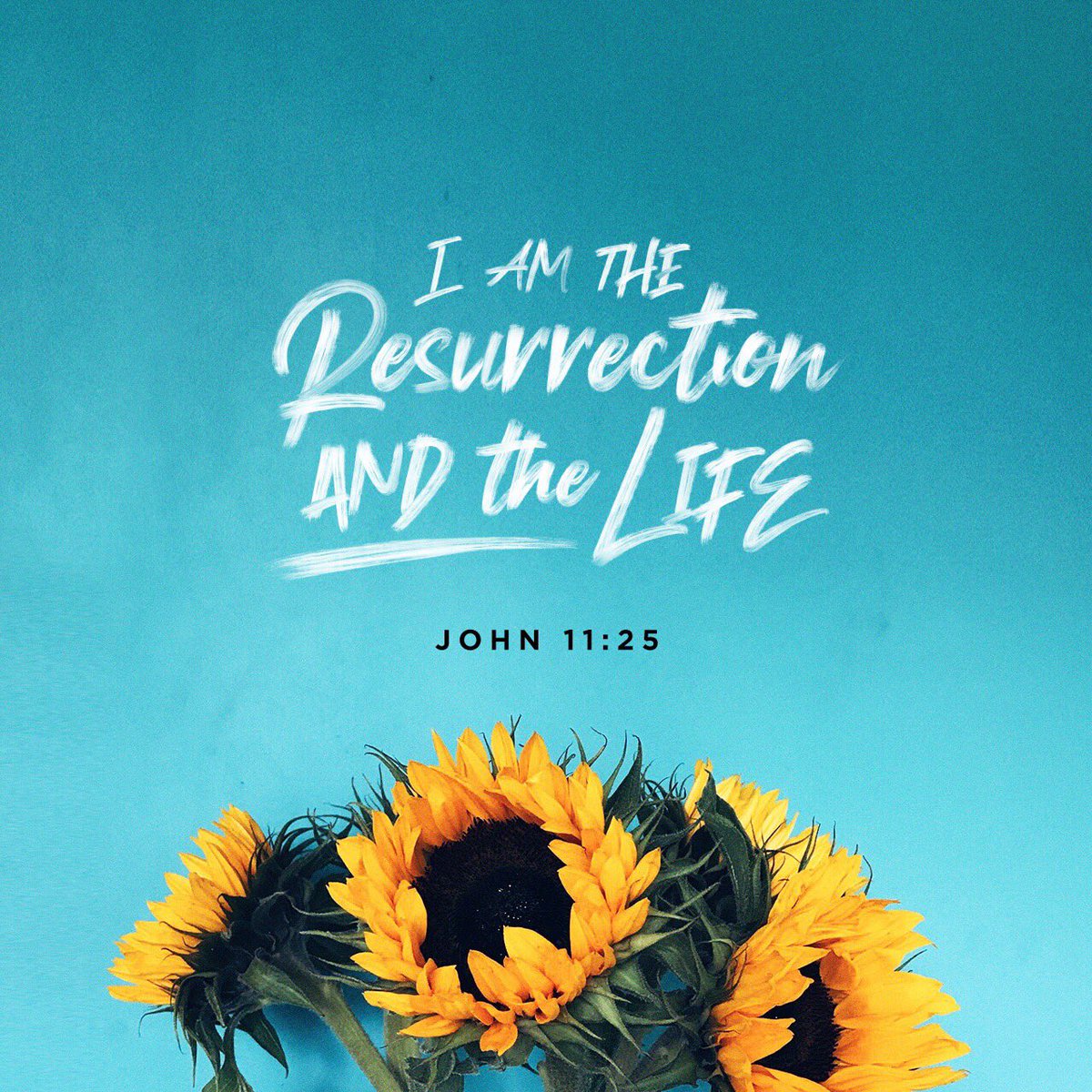 GenuineLexLuger's tweet photo. He is risen !!!
Hallelujah !!! https://t.co/hvTP9zLnNH