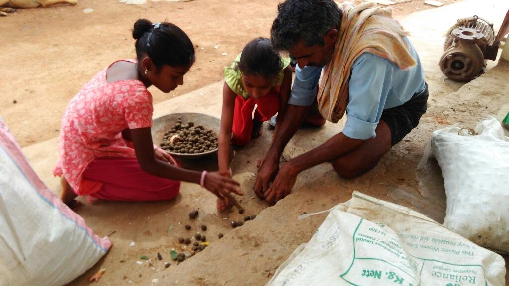 cgrindiaimpact's tweet photo. Mucherla seed balls Making.
For more info: https://t.co/Ju8DDhd3xk
#CouncilforGreenRevolution #Sustainable #Environment #Seeds #SeedBalls #EnvironmentalProtection #Plantation #SustainableDevelopment #EnvironmentalprotectionandConservation #PlantationofTrees #SaveTrees https://t.co/3Fld01gNaX