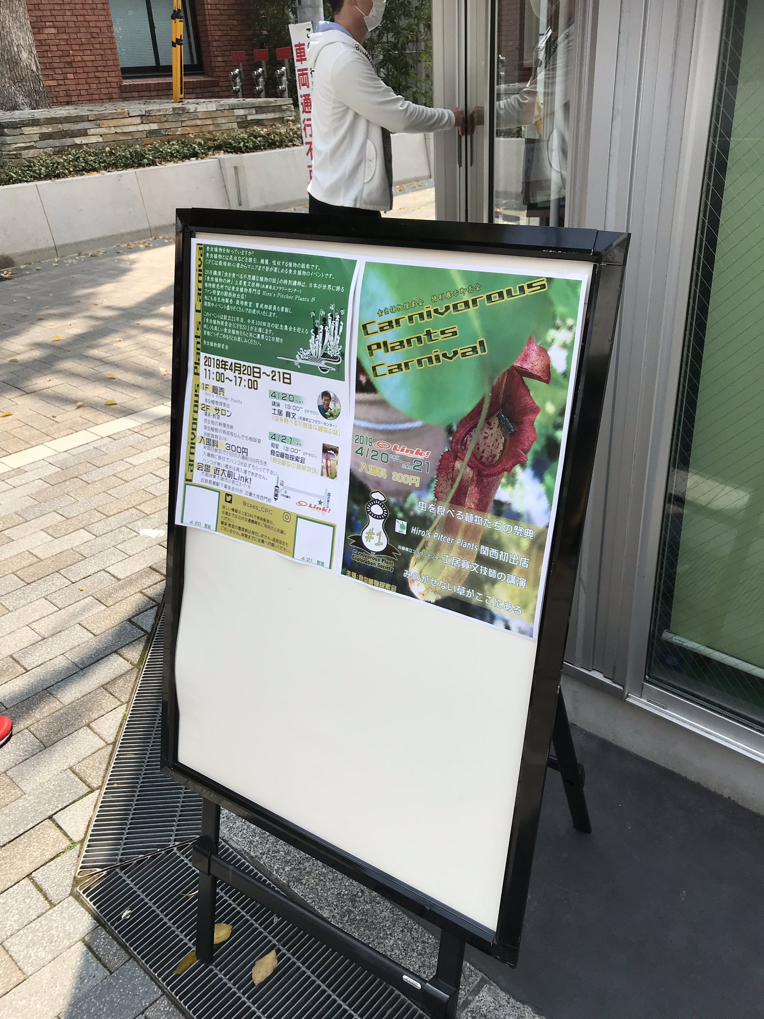 雪吊 今日は大阪で食虫植物探索会 特別展示即売会に行ってきました 珍しい種類をたくさん見る事ができ 食虫植物の育て方やコアな話を聞く事ができてとてもいい時間を過ごす事ができました Carnivorousplantscarnibal 食虫植物探索会 食虫