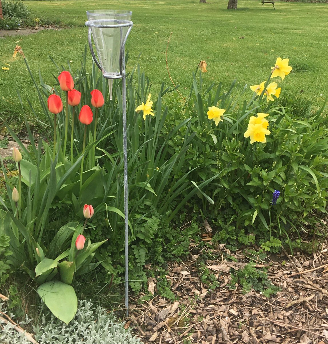 Mckellars Ironwork (@mckellarsiron) on Twitter photo New for this year... our rain gauges. Available to buy on line or <a href="/MalvernShows/">RHS Malvern Spring & Autumn Shows</a> / <a href="/3countiesshows/">Three Counties</a> see you there #malvernshows #3countiesshows #raingauge #madetolast #handmade #galavanised #herefordhour #hereford #newproduct #rhsshow #buyonline #rain #garden #gardening New for this year... our rain gauges. Available to buy on line or <a href="/MalvernShows/">RHS Malvern Spring & Autumn Shows</a> / <a href="/3countiesshows/">Three Counties</a> see you there #malvernshows #3countiesshows #raingauge #madetolast #handmade #galavanised #herefordhour #hereford #newproduct #rhsshow #buyonline #rain #garden #gardening